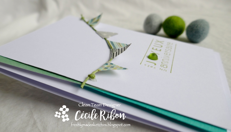 Carte FMS448 - P1190013