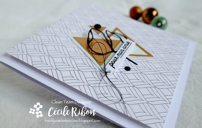 Carte FMS449 - P1190094