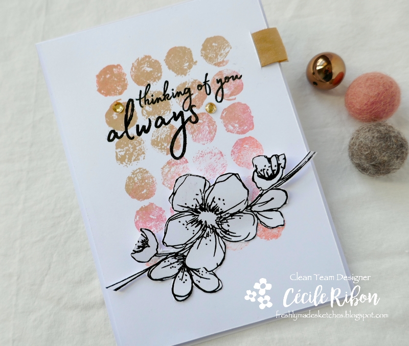 Carte FMS450 - P1190148