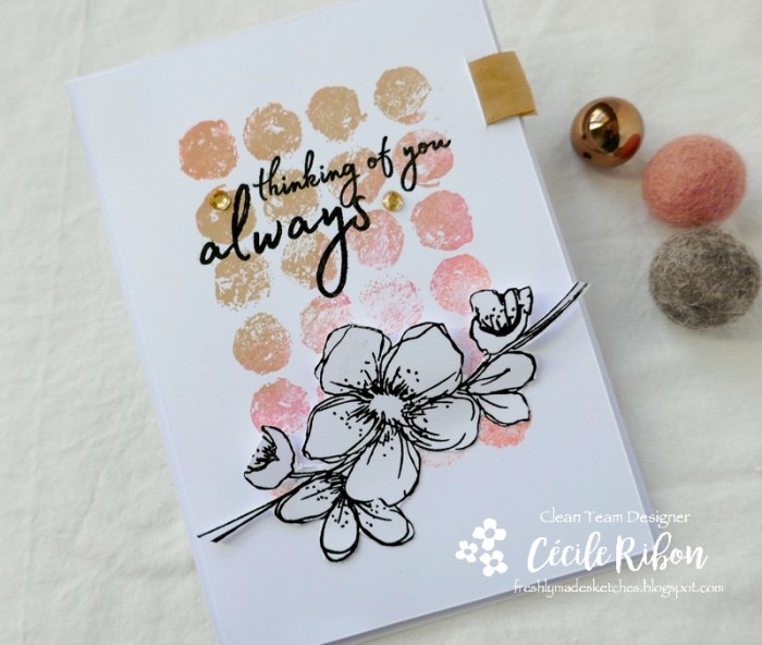 Carte FMS450 - P1190148