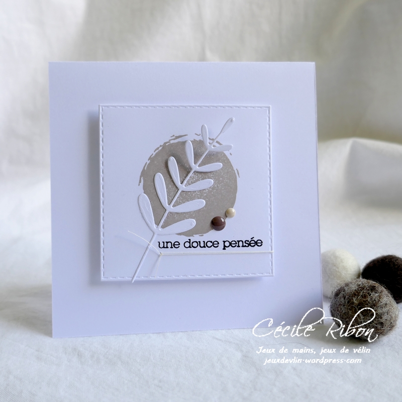 Carte JUGS550 - P1190108