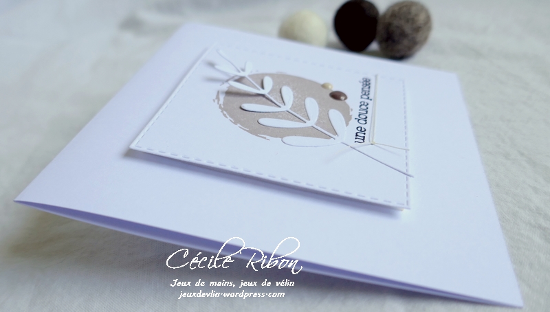 Carte JUGS550 - P1190117