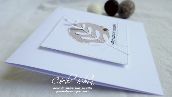 Carte JUGS550 - P1190117