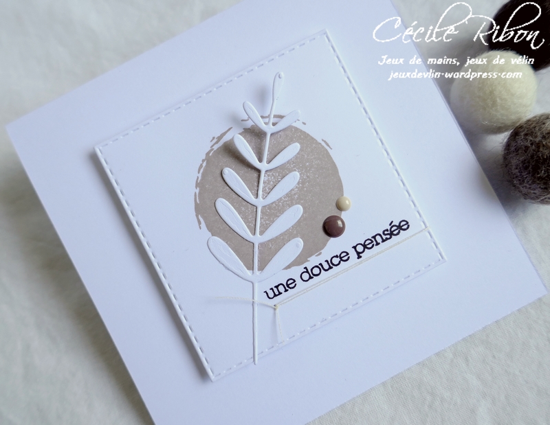 Carte JUGS550 - P1190125