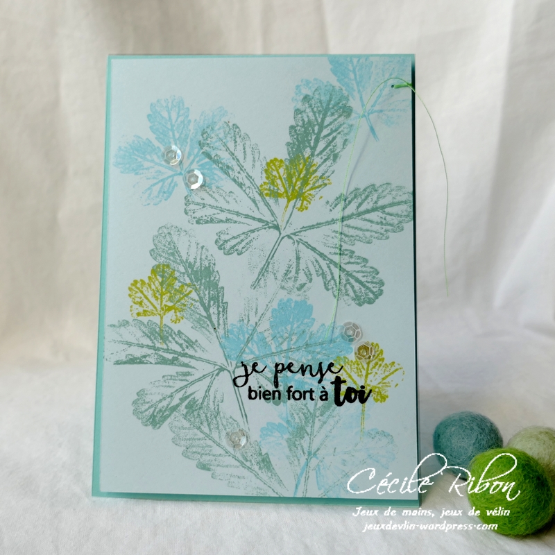 Carte JUGS552 - P1190239