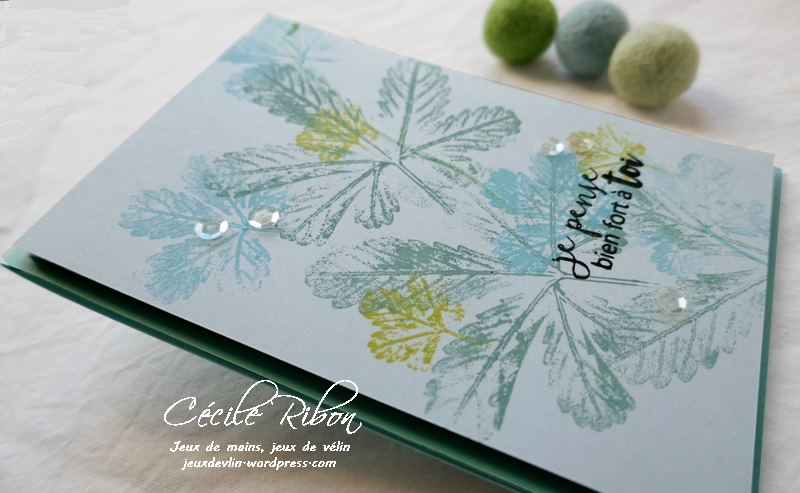 Carte JUGS552 - P1190251