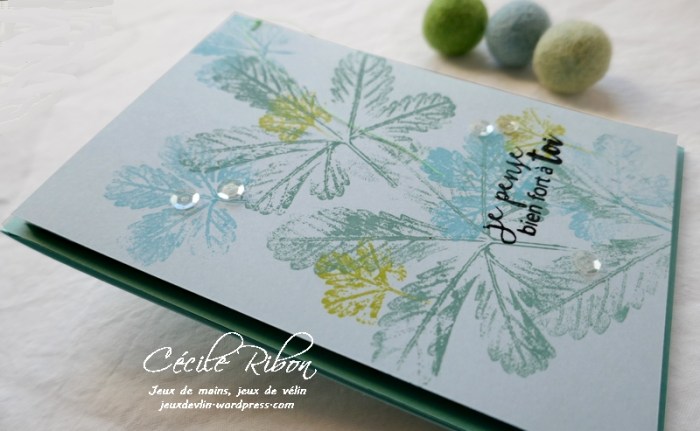 Carte JUGS552 - P1190251