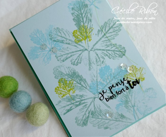 Carte JUGS552 - P1190258