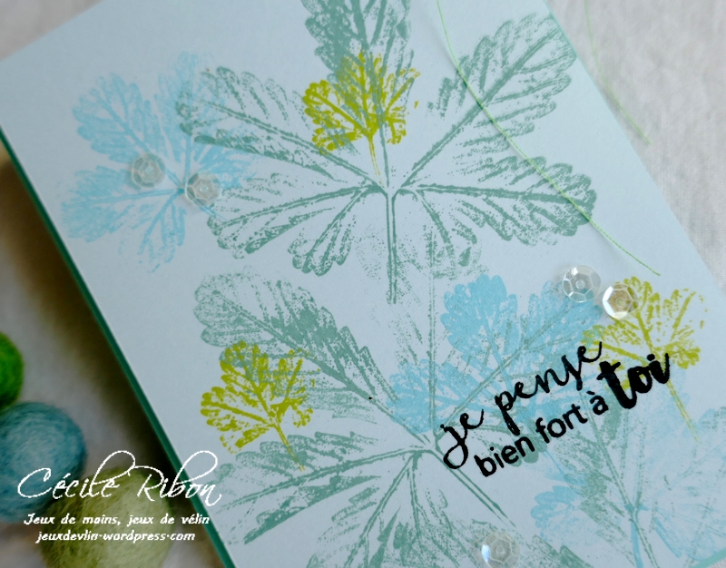 Carte JUGS552 - P1190262