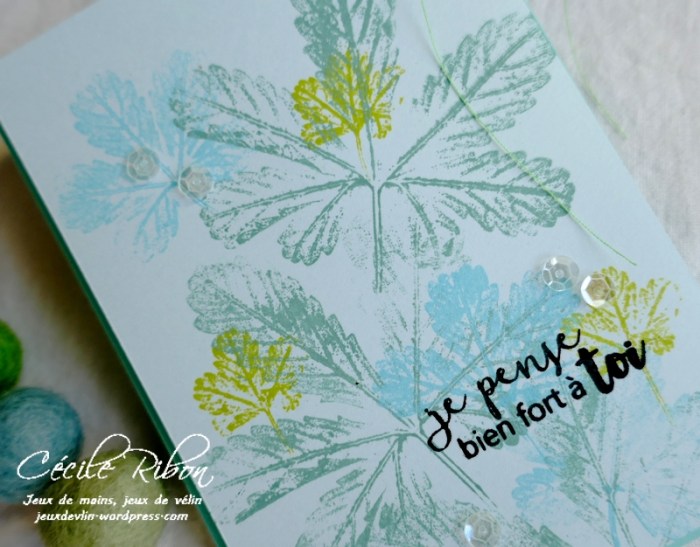 Carte JUGS552 - P1190262