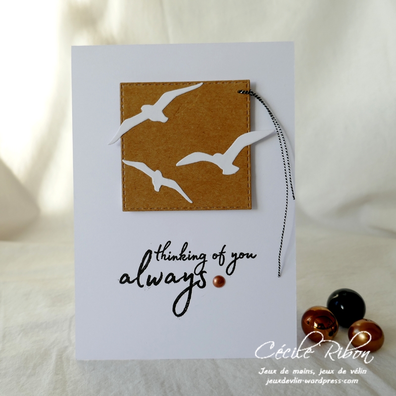 Carte CASology1 - P1190527