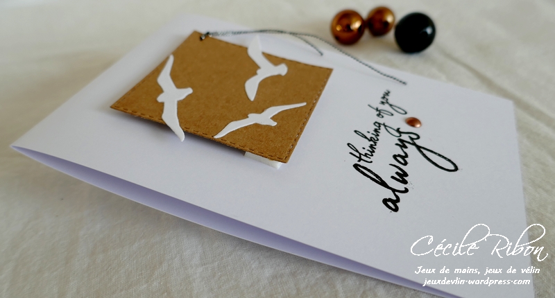 Carte CASology1 - P1190535