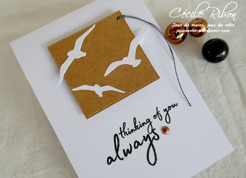 Carte CASology1 - P1190543