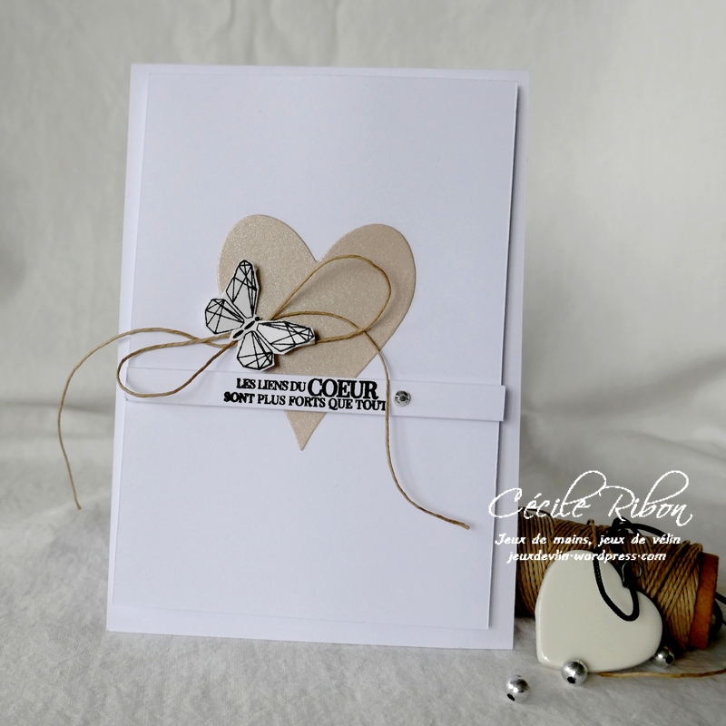 Carte Casology382 - P1190706