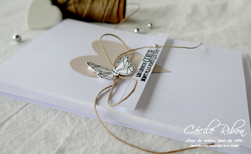 Carte Casology382 - P1190713