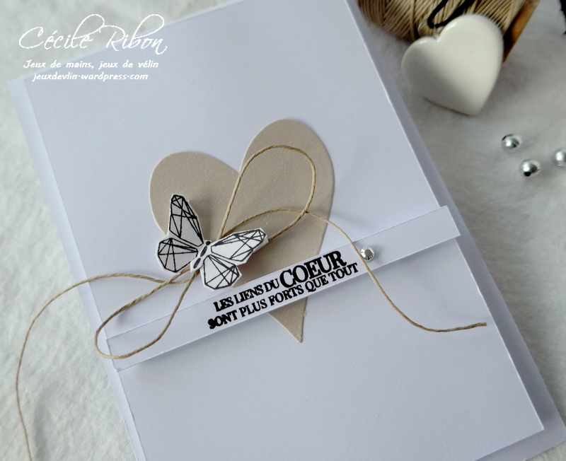 Carte Casology382 - P1190722