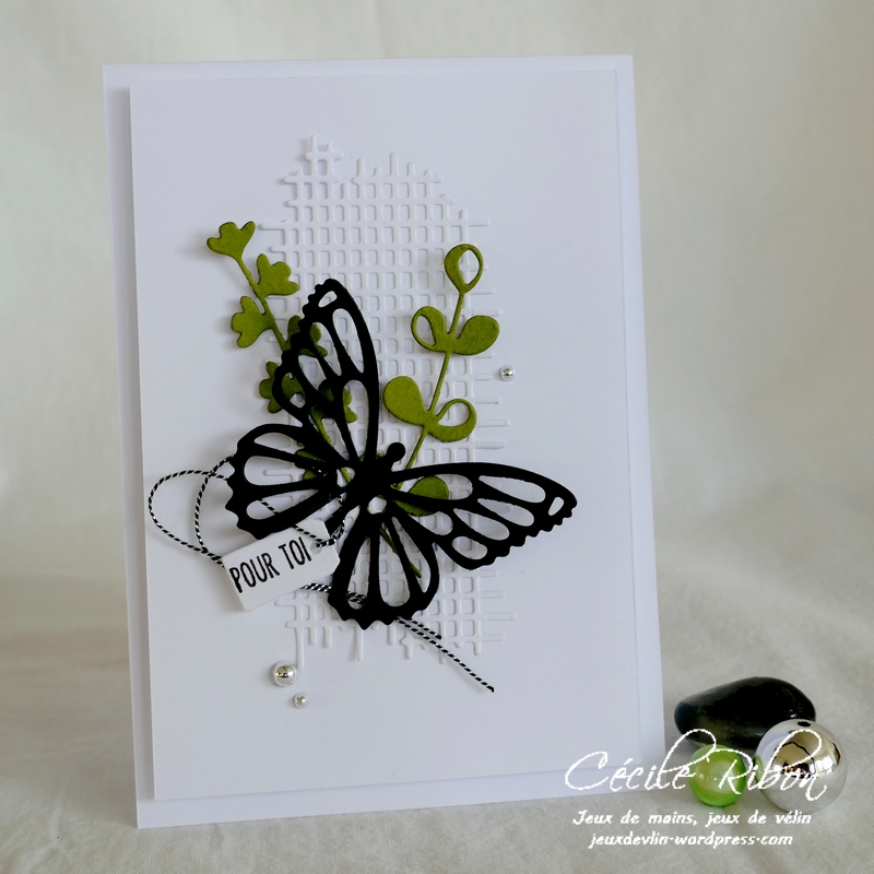 Carte CBBB45 - P1190573