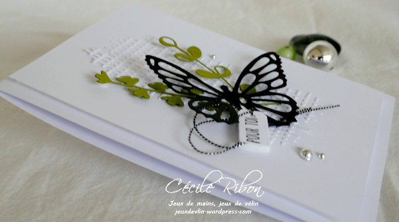 Carte CBBB45 - P1190582