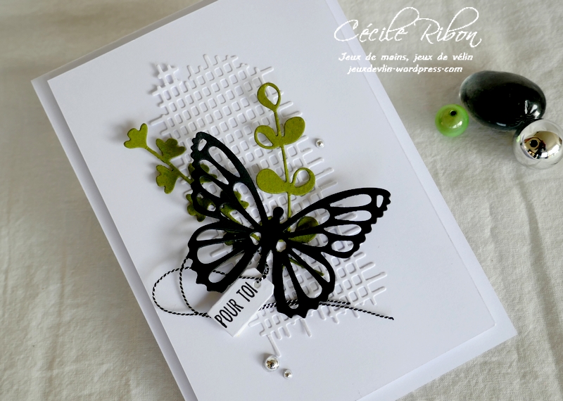 Carte CBBB45 - P1190585