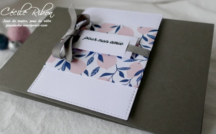 Carte CTD627 - P1190813