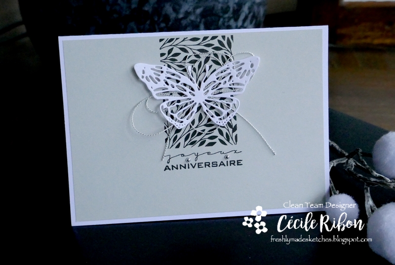 Carte FMS468 - P1190483