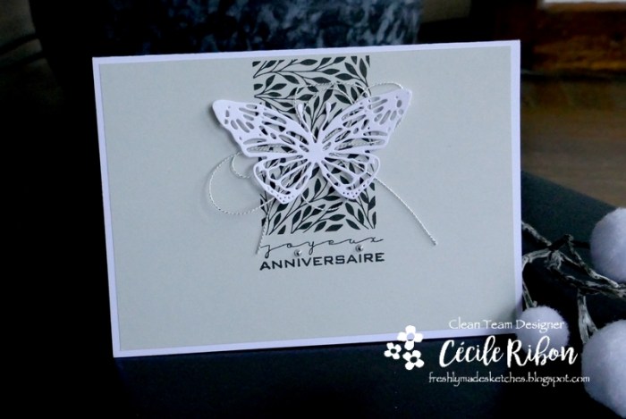 Carte FMS468 - P1190483