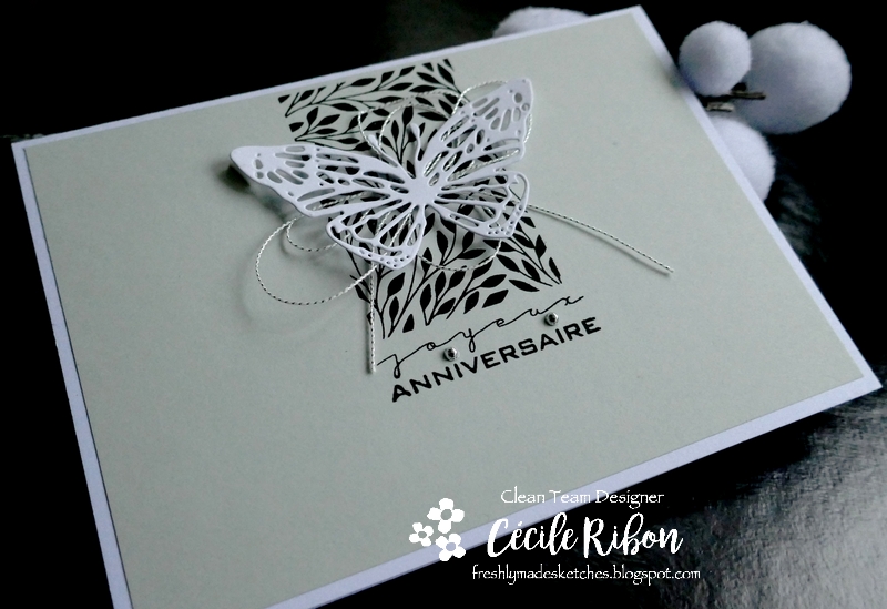 Carte FMS468 - P1190487