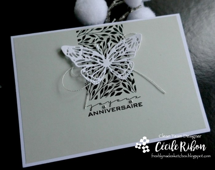 Carte FMS468 - P1190492