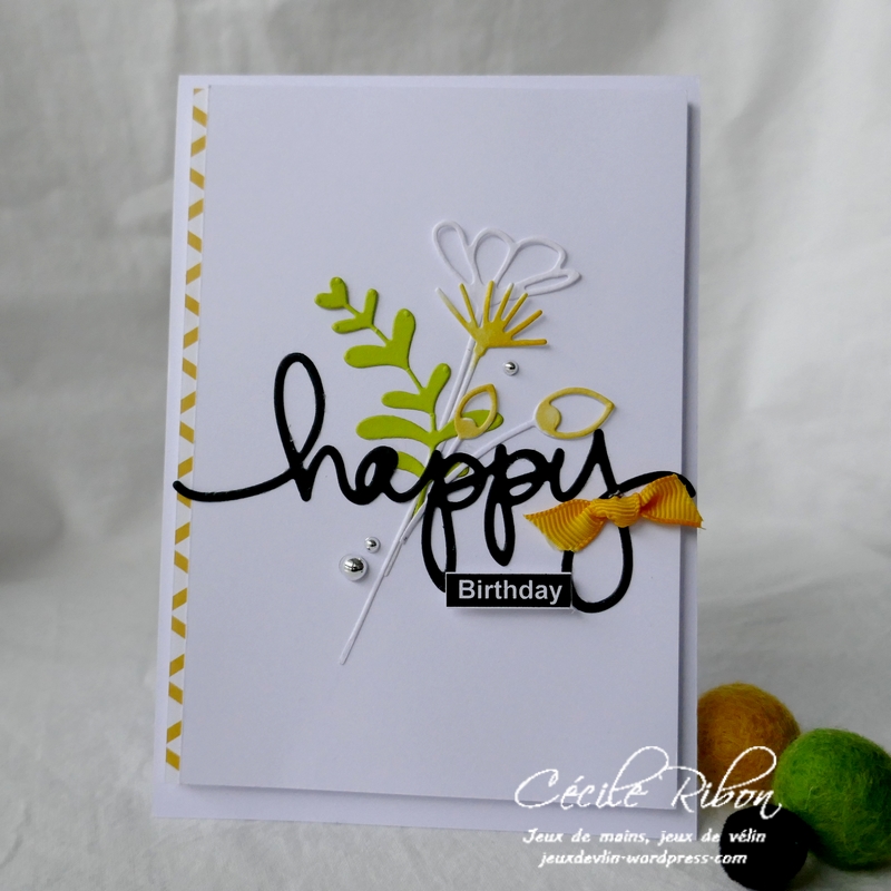 Carte AnnivF01 - P1200470