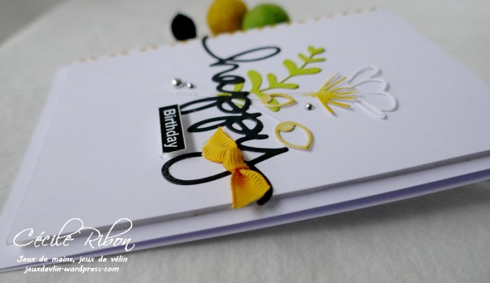 Carte AnnivF01 - P1200474