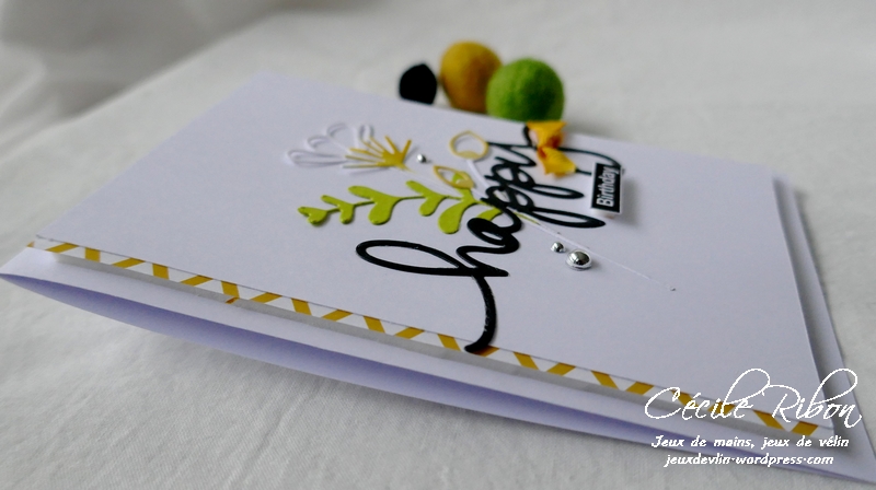 Carte AnnivF01 - P1200483