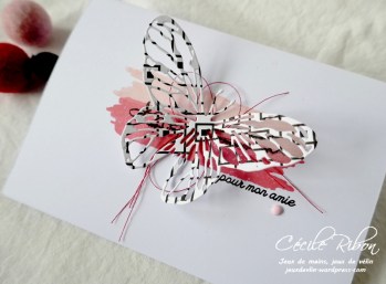 Carte CTD629 - P1200304