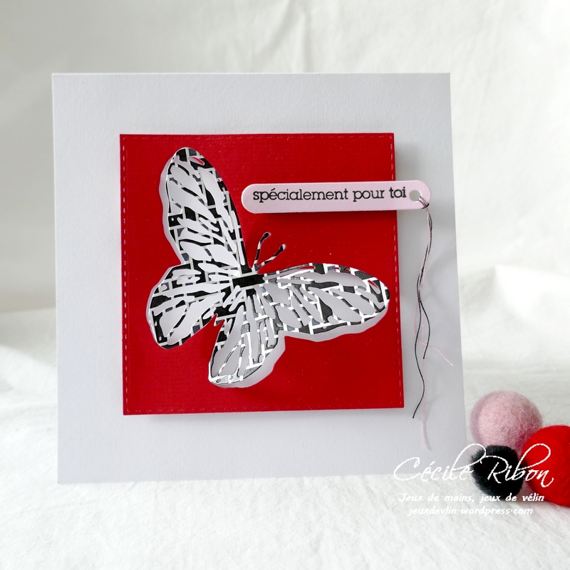 Carte CTD629 - P1200313