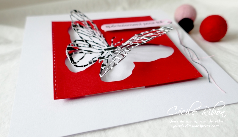 Carte CTD629 - P1200316