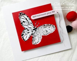 Carte CTD629 - P1200329