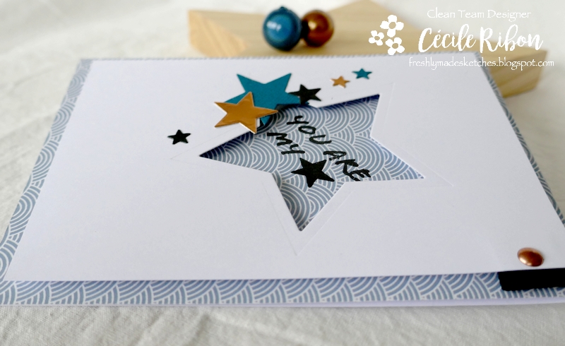 Carte FMS471 - P1190983