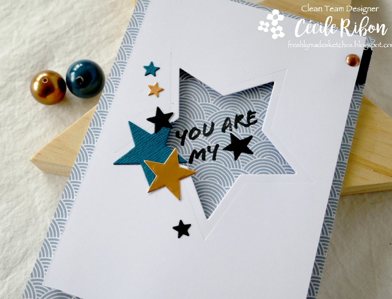 Carte FMS471 - P1190997