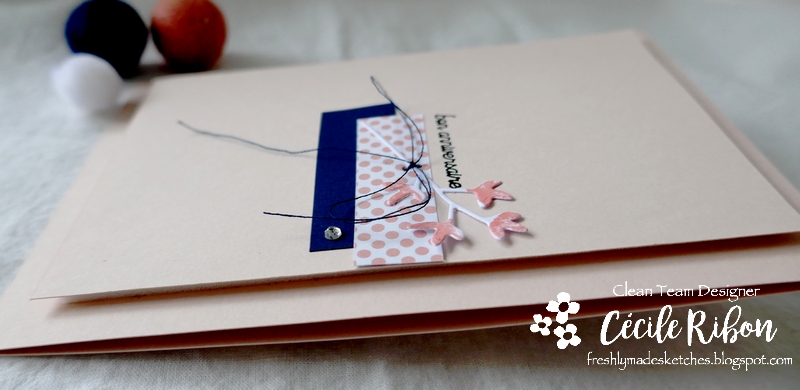 Carte FMS472 - P1200185 - Copie