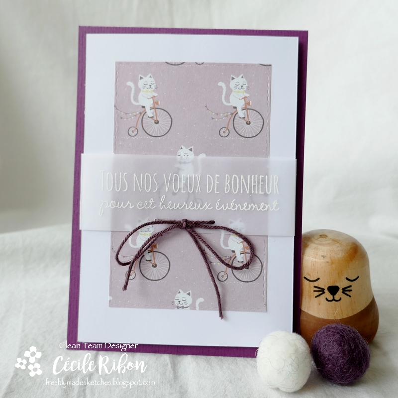 Carte FMS473 - P1200422