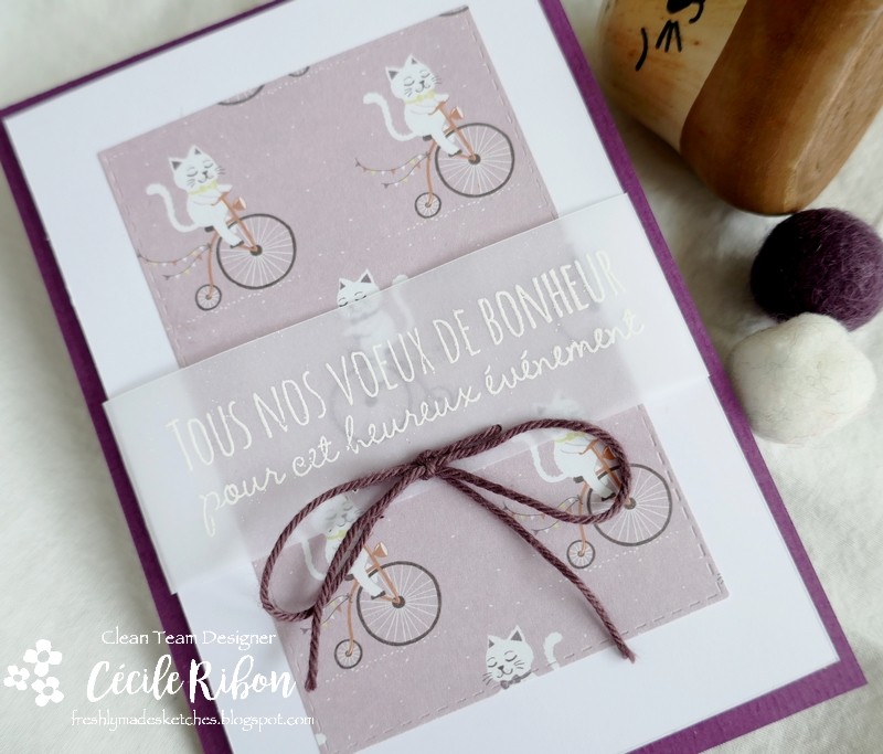 Carte FMS473 - P1200437