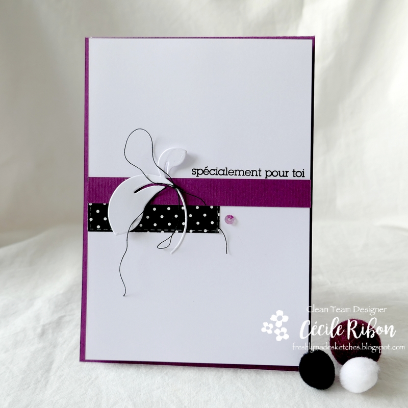 Carte FMS474 - P1200662