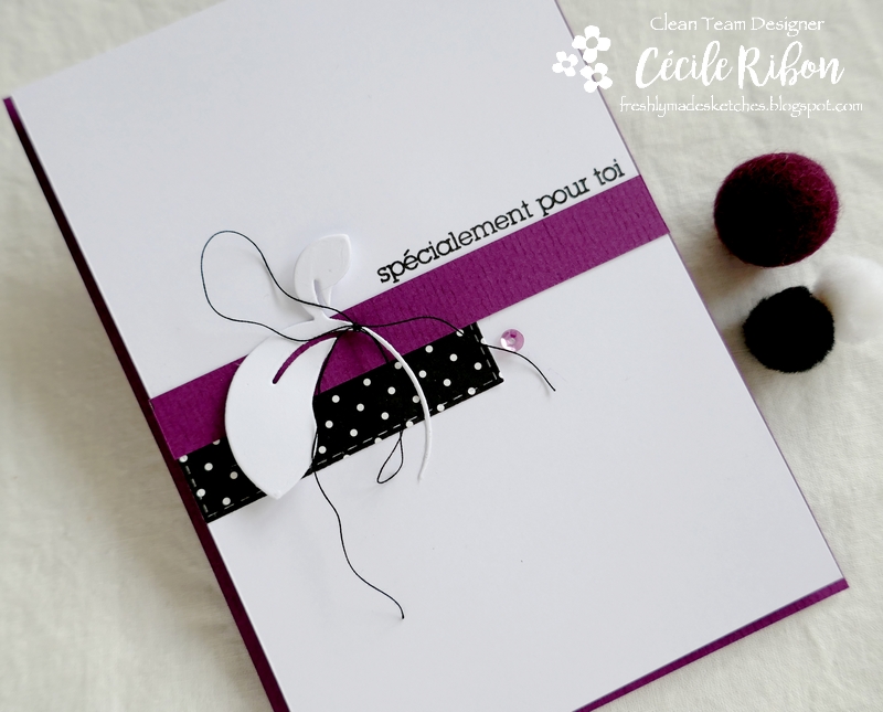 Carte FMS474 - P1200681