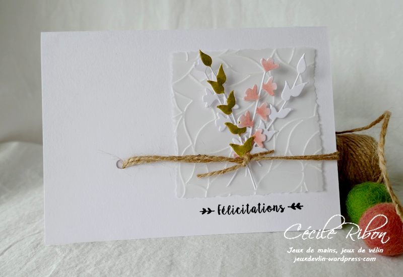 Carte FUSION57 - P1190940