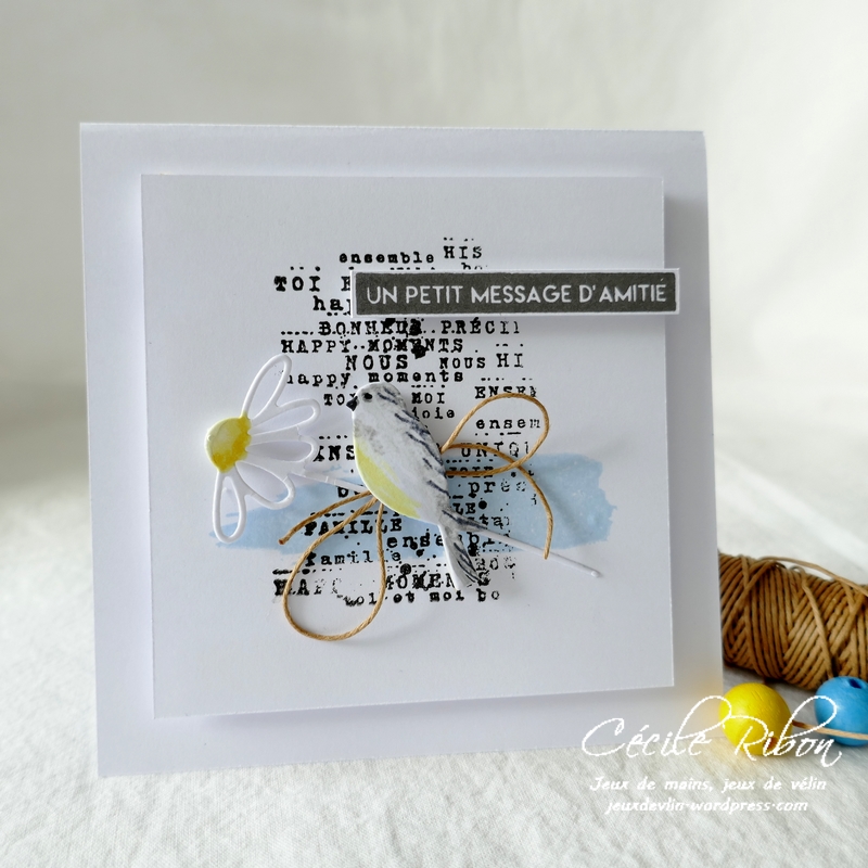 Carte LSFevBPioche - P1200695