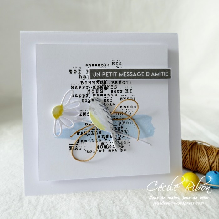 Carte LSFevBPioche - P1200695