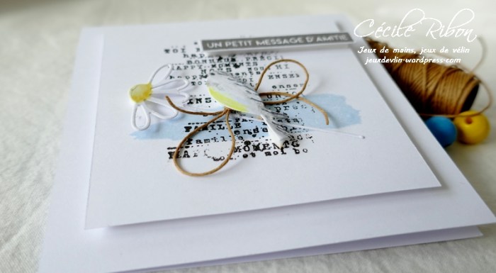 Carte LSFevBPioche - P1200703