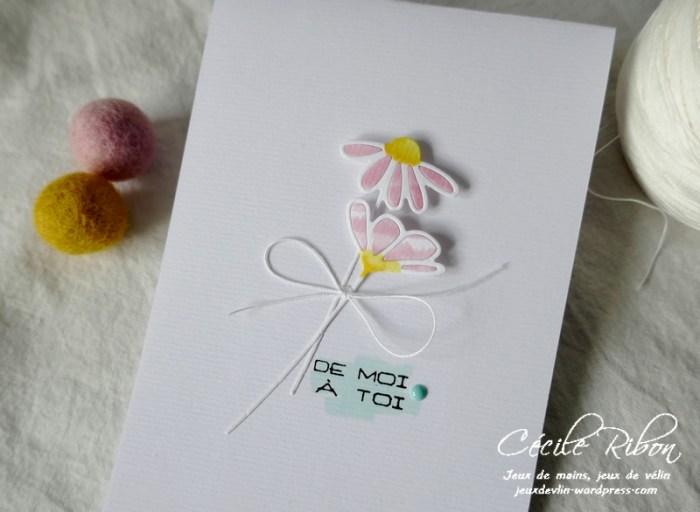 Carte LSFevCombo - P1200050