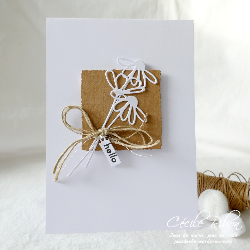 Carte LSFevInspi - P1200627