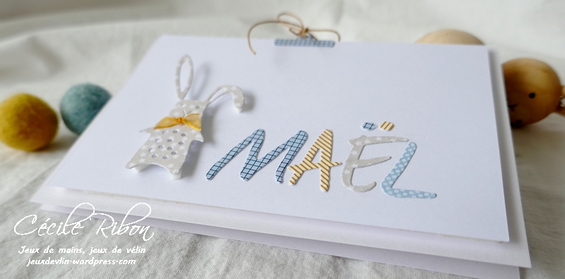 Carte Maël - P1200407