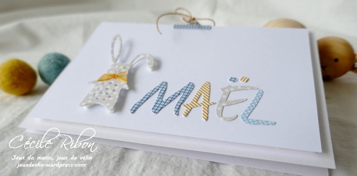 Carte Maël - P1200407